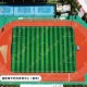 16710860890_885283001671086089-80x80-cut