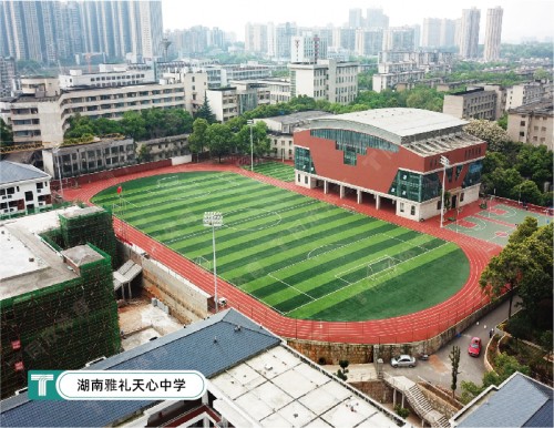 16710740970_056965001671074097-500x386-cut